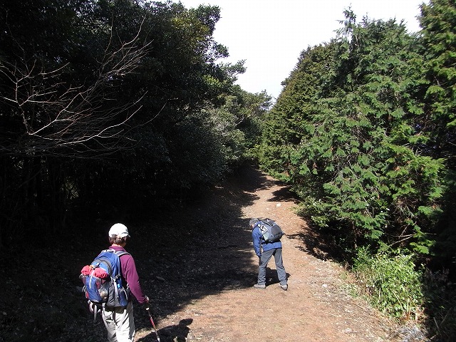 f0187402_1649717.jpg