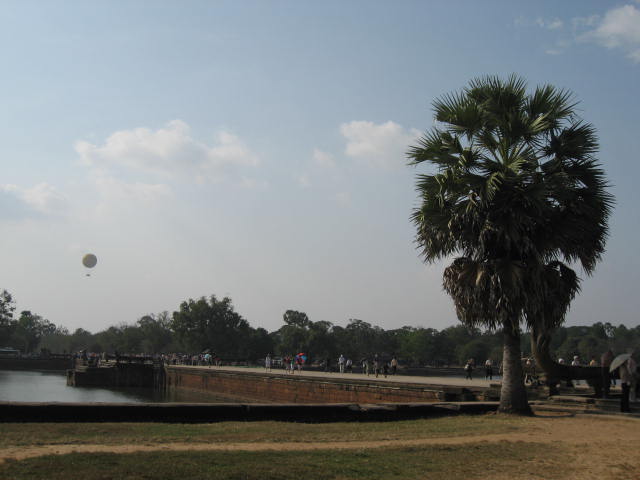 a0100706_2212583.jpg