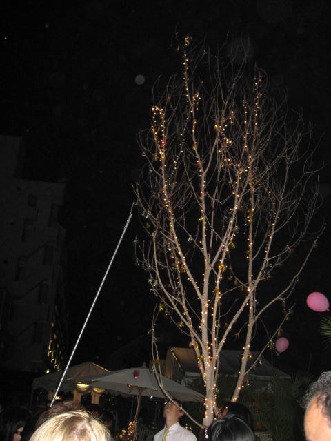 a0100706_23273869.jpg