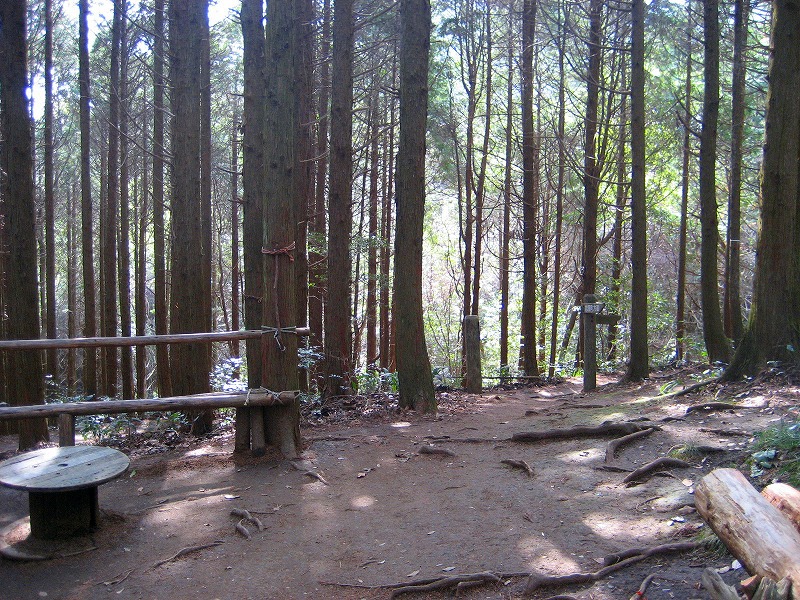 d0152306_2332365.jpg