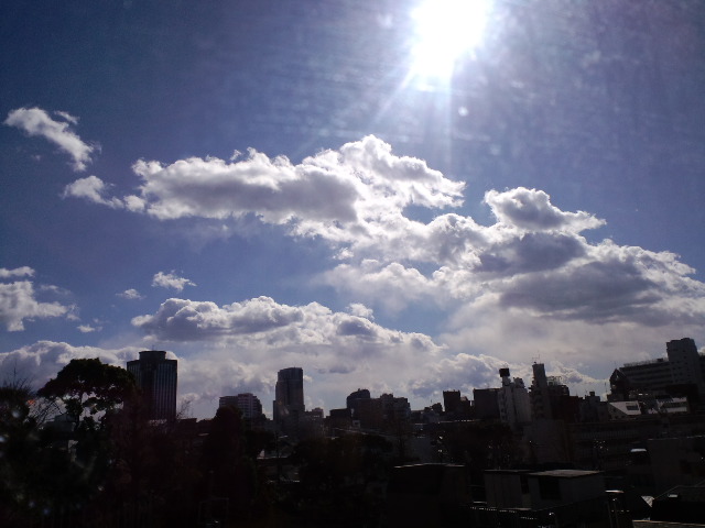 a0088007_3321811.jpg
