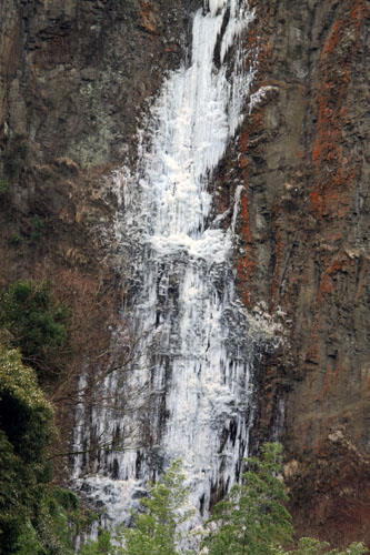 b0014607_215857.jpg