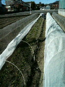 f0127408_22443420.jpg