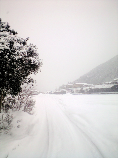 f0135908_1751317.jpg