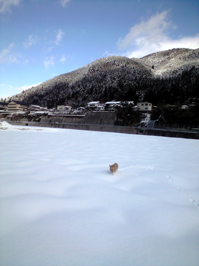 f0135908_1752262.jpg