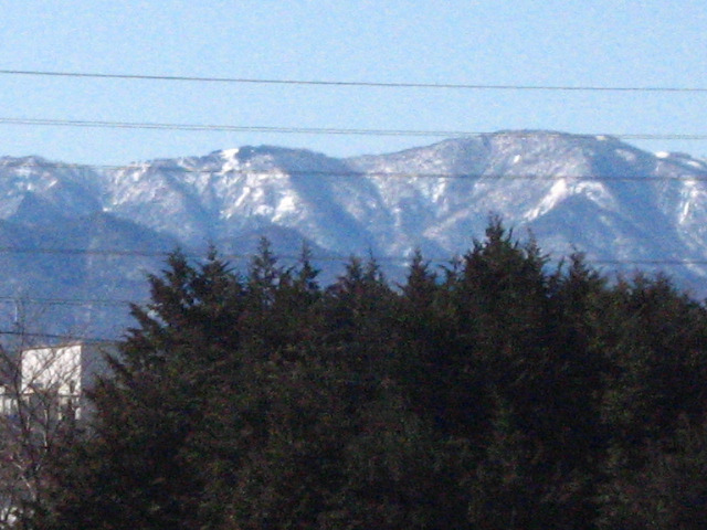 d0150309_19464221.jpg