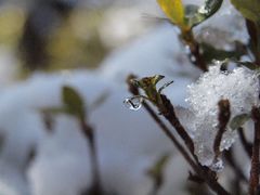b0124711_1255316.jpg