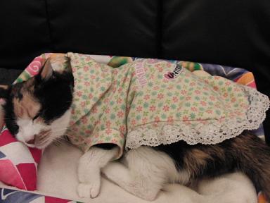 c0201113_17562895.jpg