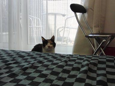 c0201113_18335159.jpg