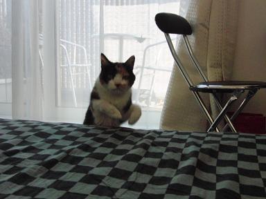 c0201113_18342262.jpg