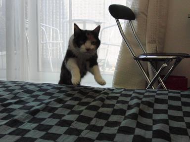 c0201113_18345553.jpg