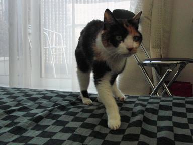 c0201113_1836312.jpg