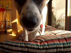 c0012120_3291216.jpg