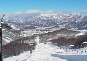 b0158723_143555.jpg