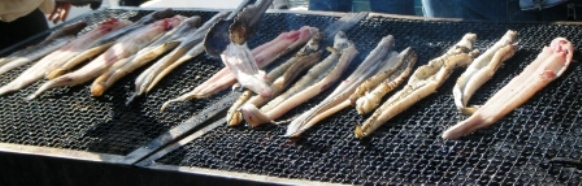 e0024126_2333369.jpg