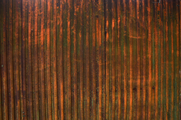 b0042527_22504380.jpg