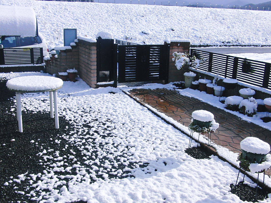 f0111128_21405188.jpg