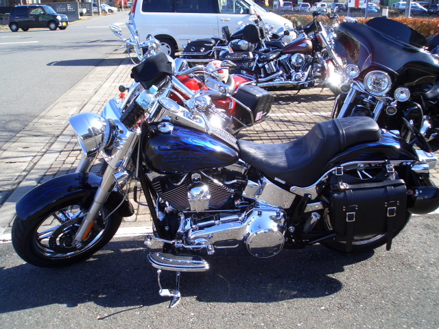 a0099129_15571581.jpg
