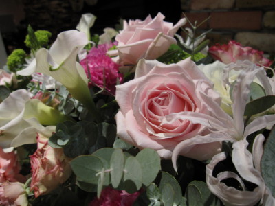 e0058931_8401194.jpg