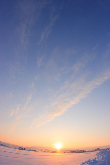 d0069235_859359.jpg