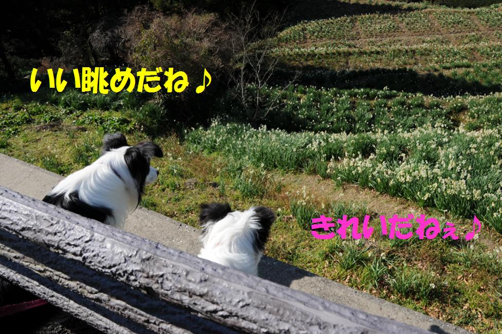 c0147241_150518.jpg