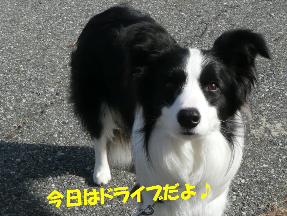 c0147241_150899.jpg