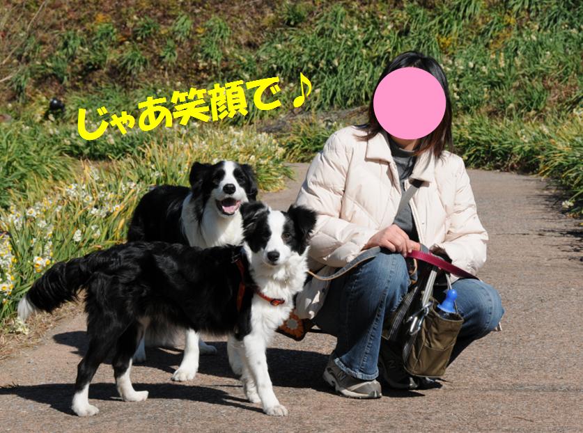 c0147241_1513679.jpg
