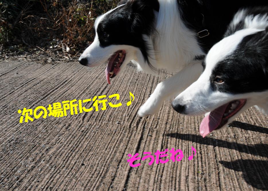 c0147241_1514464.jpg