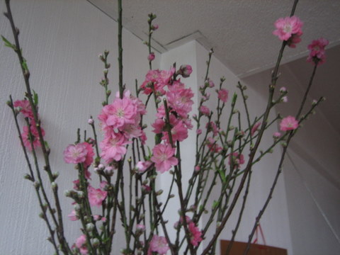e0018143_15272156.jpg