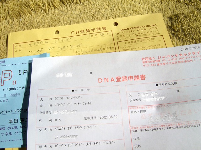 f0071053_1751467.jpg