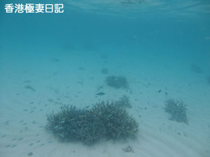 f0190653_11561976.jpg