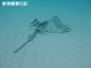 f0190653_11563184.jpg