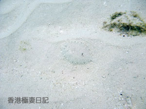 f0190653_11572012.jpg
