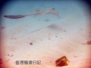 f0190653_1157544.jpg