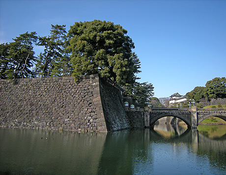 a0001354_22344832.jpg