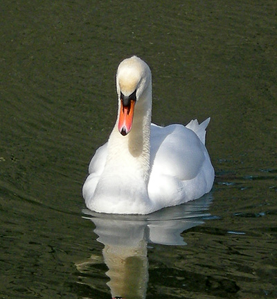 a0001354_2253792.jpg