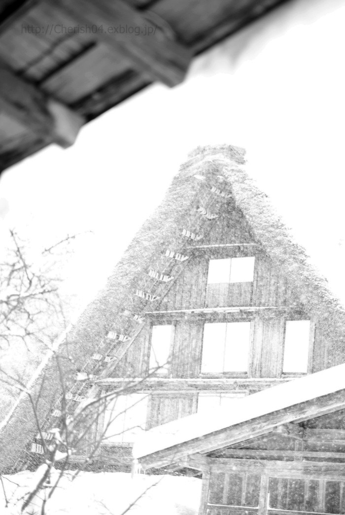 f0207754_2013160.jpg