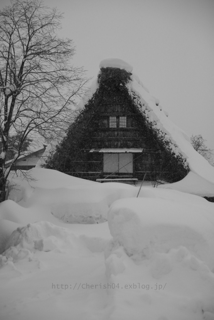 f0207754_20164568.jpg