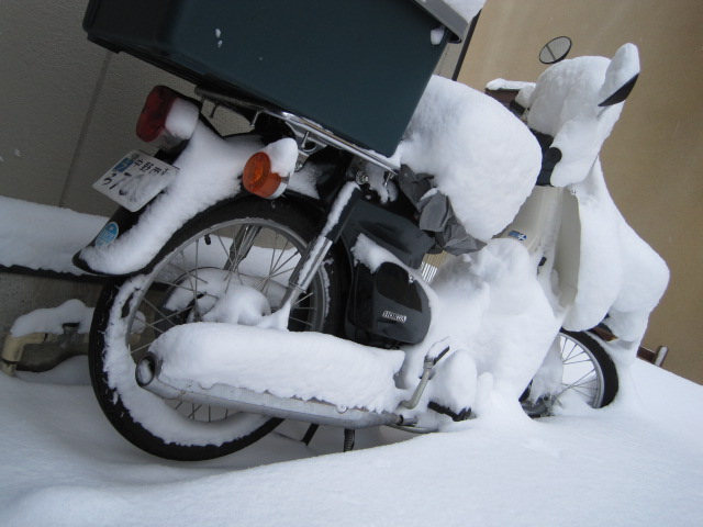 a0148456_21302936.jpg