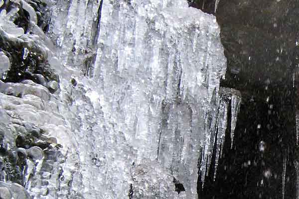 f0007956_17435664.jpg