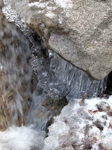 f0007956_17443257.jpg