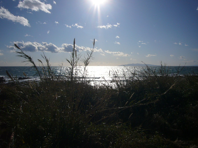 f0147556_1010275.jpg