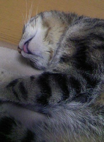 a0075358_3113141.jpg