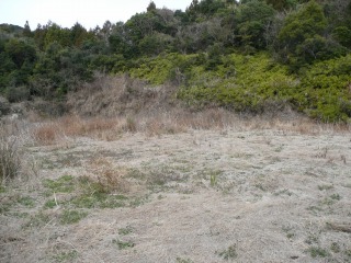f0055264_23472316.jpg
