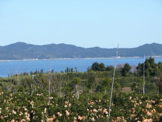 f0055264_23562913.jpg