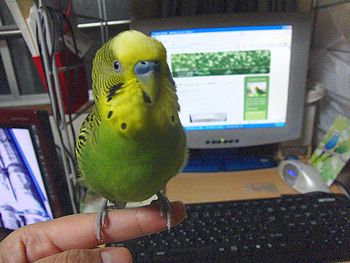 f0196665_0241163.jpg