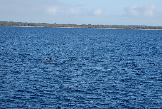 e0128367_9395751.jpg