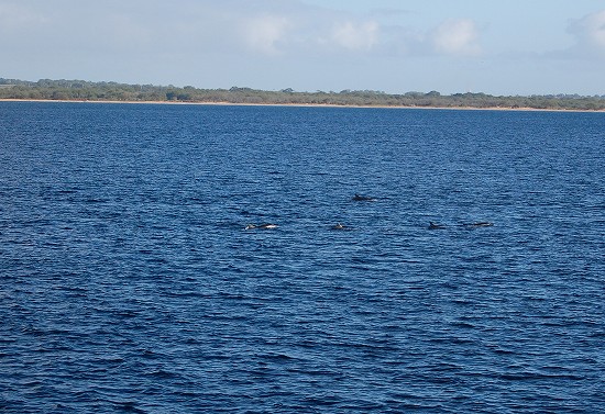 e0128367_9402219.jpg
