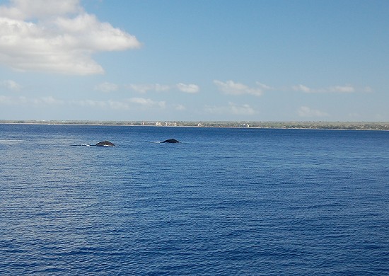 e0128367_9404267.jpg