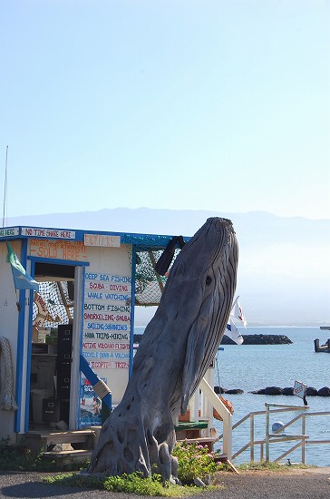 e0128367_9412574.jpg